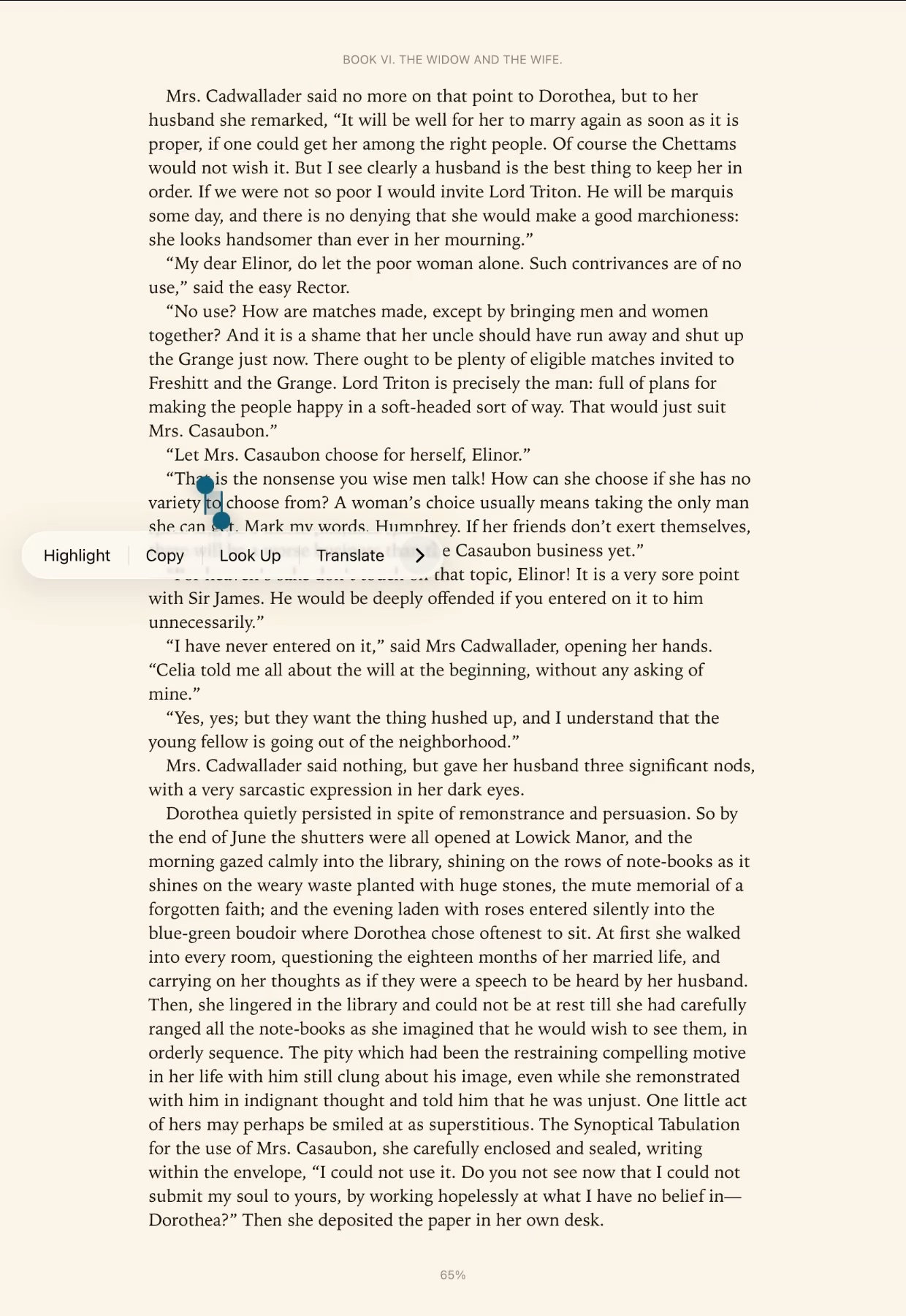 A word selected with Highlight in the menu on iPad